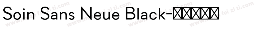 Soin Sans Neue Black字体转换
